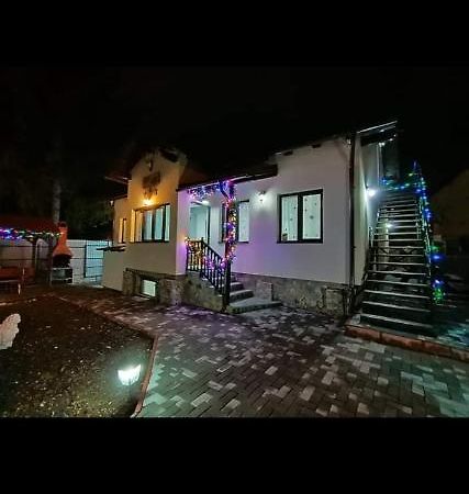 Casa Andy Hotel Szászbuda Kültér fotó