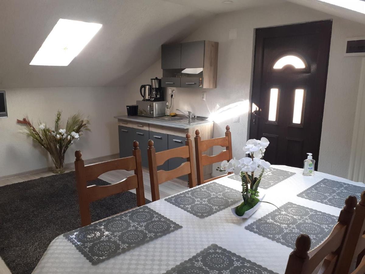 Casa Andy Hotel Szászbuda Kültér fotó