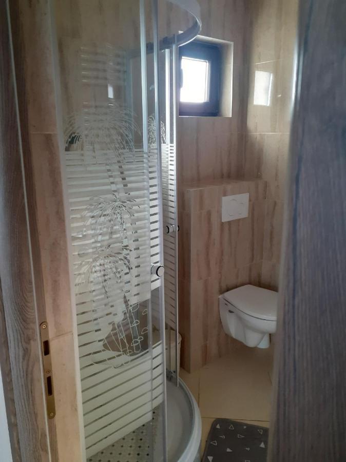 Casa Andy Hotel Szászbuda Kültér fotó