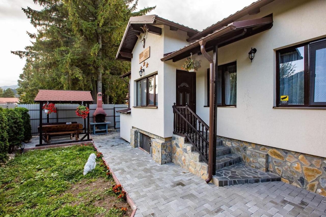 Casa Andy Hotel Szászbuda Kültér fotó