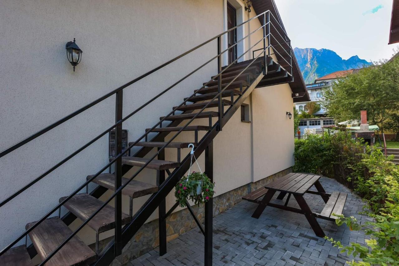 Casa Andy Hotel Szászbuda Kültér fotó