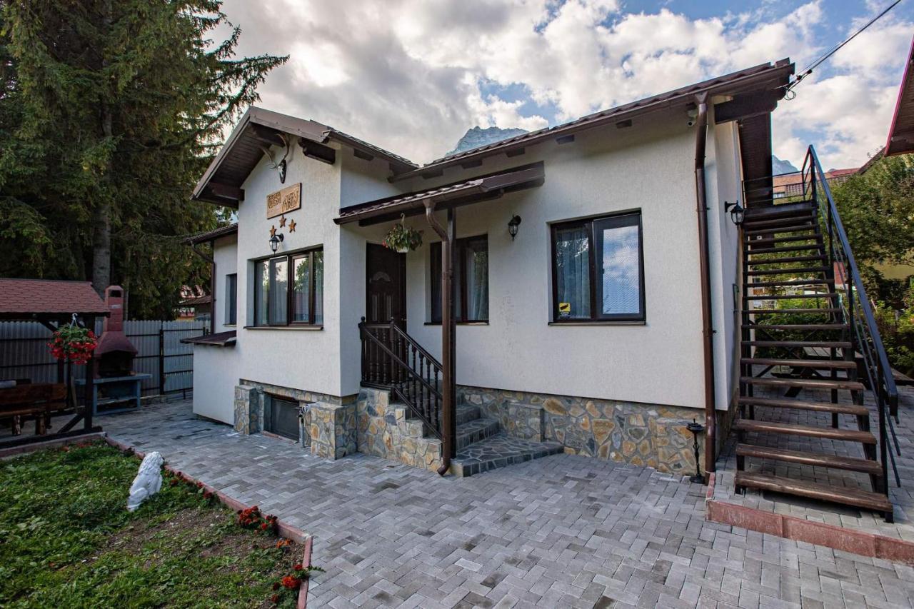 Casa Andy Hotel Szászbuda Kültér fotó